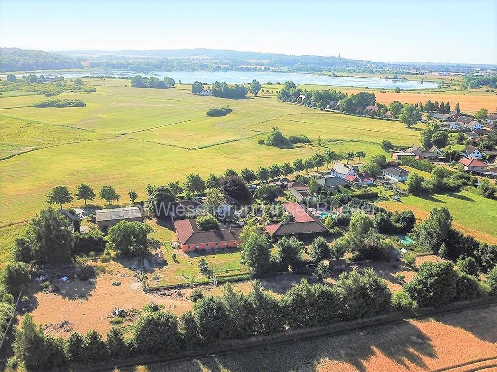 06 Grashuepfer - Hof Wiesengrund Parchtitz Exteriér fotografie